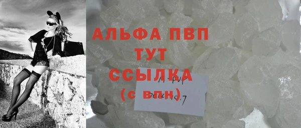 молекула духа Надым