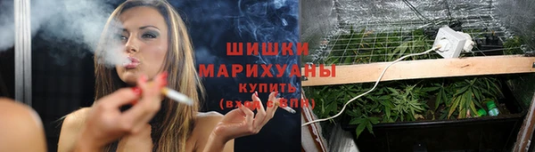 молекула духа Надым
