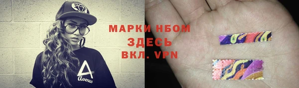 молекула духа Надым