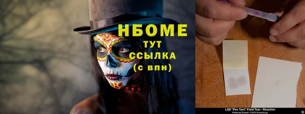 молекула духа Надым