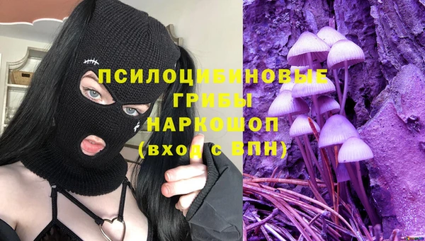 молекула духа Надым