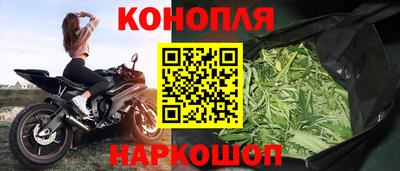 гидра Дубна
