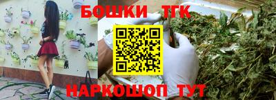 гидра Дубна