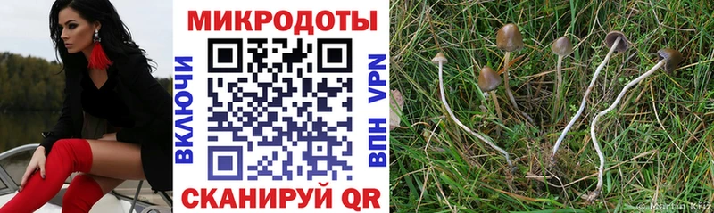 Псилоцибиновые грибы GOLDEN TEACHER магазин Мурманск
