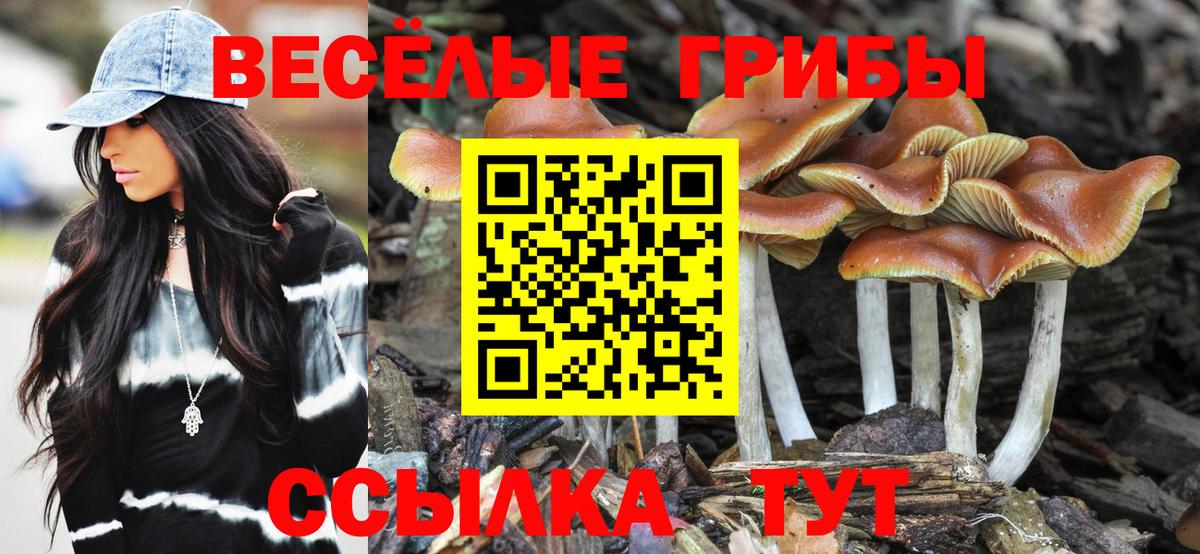 Псилоцибиновые грибы Magic Shrooms Мурманск