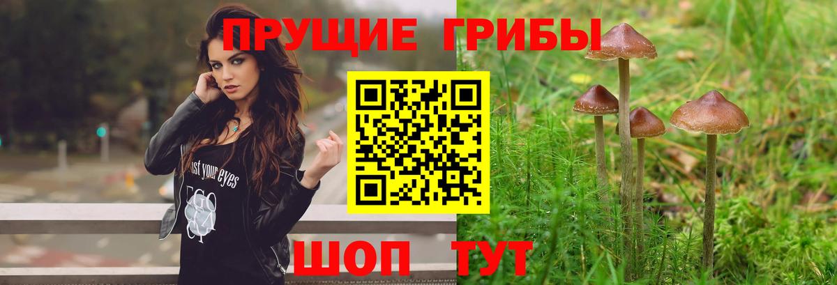 Галлюциногенные грибы мицелий  Мурманск 